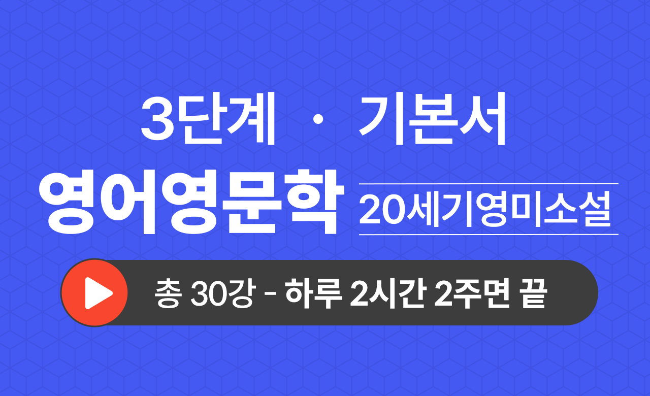 3단계 영문학과(20세기영미소설) 기본서